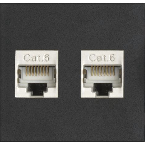 EVOline Wechselmodul Zubehör Modul für Steckdosenelemente 2 x RJ45 CAT6 Buchse vorne und hinten Kunststoff schwarz (1/4)