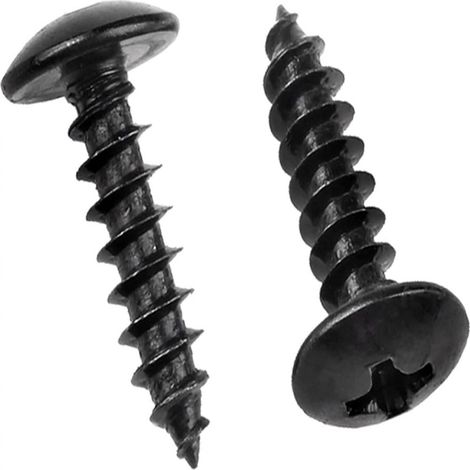 Vis Autotaraudeuse Tête Cylindrique Phillips - M4 x 12 mm - Acier Inoxydable 304 - Pour Bois Métal Plastique - 100 Pièces