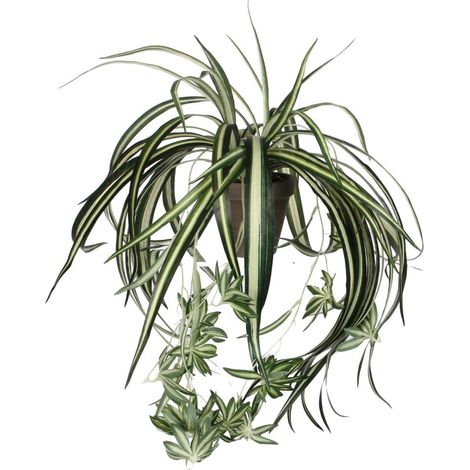 Mica Chlorophytum im Topf grün, 45 x 45 cm Kunstpflanzen