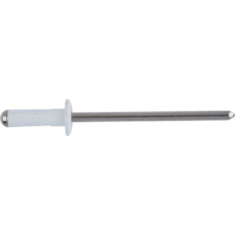 SACTO RIVETTO RIVETTI IN ALLUMINIO CHIODO ACCIAIO ZINCATO TESTA BIANCA RAL 9010 - 4 mm - 1000 PZ - 8 mm