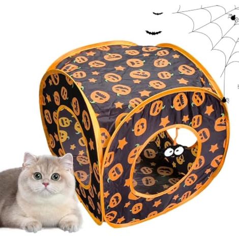 Tunnel pour chaton - Enrichissement d'aire de jeux - Tube interactif (1/5)