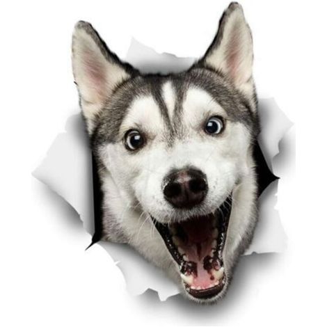 [JAMAIS UTILISÉ] Autocollants pour chien 3D - Paquet de 2 - Happy Husky Pour mur, réfrigérateur, toilettes et Plus Husky Autocollants 10 x 12CM (1/4)