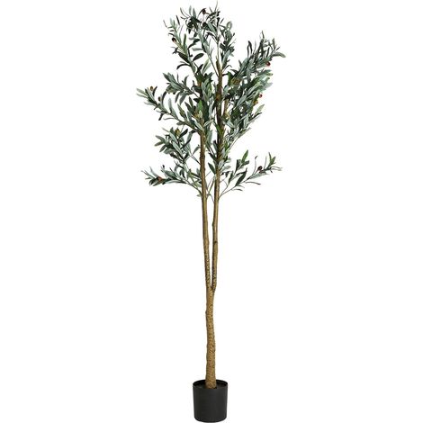 Plante artificielle olivier style classique - vert (1/5)