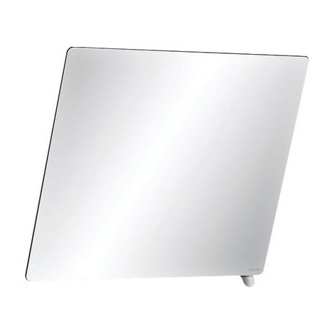 Miroir - Delabie - Inclinable 20°c avec poignée - 500X600 mm (1/2)