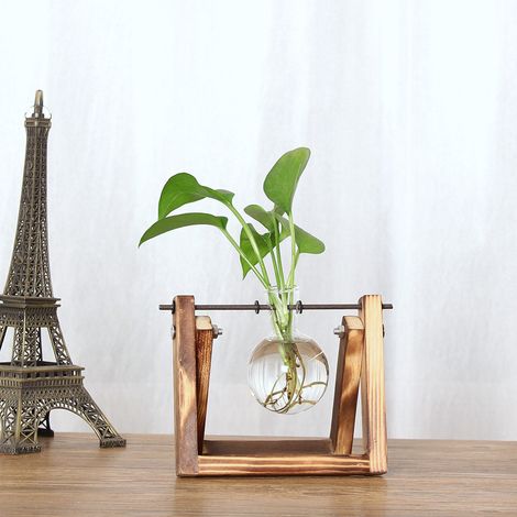 Vase vintage en verre transparent pour plantes hydroponiques avec support en bois, idéal pour la décoration de table. (1/5)