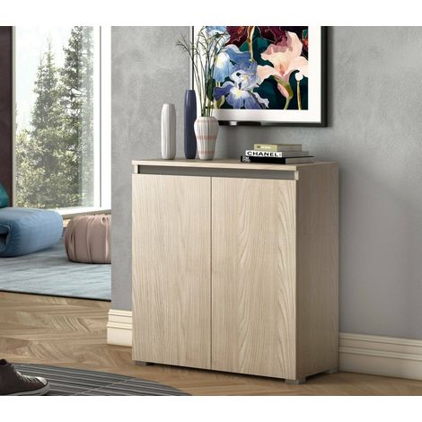 Dmora - Zapatero Calla, Mueble multiusos, Zapatero con 2 puertas que ahorra espacio, Armario con estantes, 100% Made in Italy, 80x37h102 cm, Olmo (1/5)