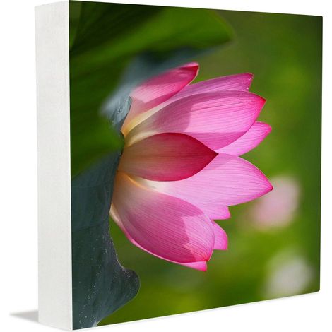Cadre photo, décorations de Pâques pour le bureau, panneau en bois décoratif pour mamans, décoration de bureau de style ferme (1/5)