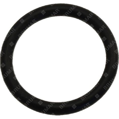ODER-Ring für KOMPATIBLE BERTOLINI-Pumpen - 026223