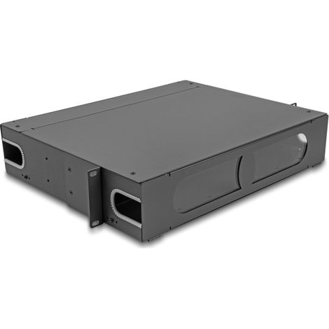 Delock Panel de Conexiones de 19 de Fibra Ãptica con ventana de visualizaciÃ³n sin equipar 2U gris oscuro