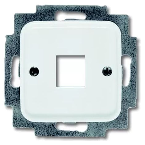 Busch-Jaeger 2561-214 Zentralscheibe Modular Jack (1/2)