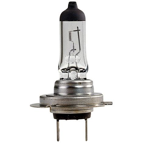 Maxter – Ampoule H7 12V 55W PX26D – Culot PX26D – Éclairage blanc – Pour intérieur et signalisation
