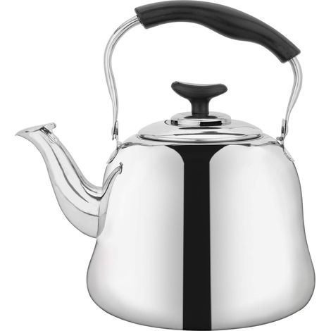 Bollitore da 2 litri in acciaio inox con filtro, teiera con fischietto e manico termoisolante.