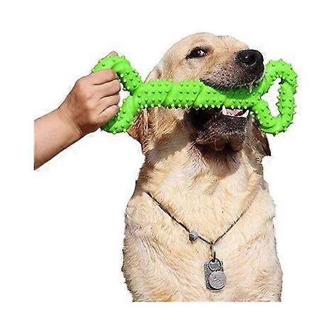 Jouet à mâcher pour chien en caoutchouc résistant, 33 cm x 12 cm, en forme d'os, avec un design convexe. Jouet interactif solide pour chiens mâcheurs agressifs, de petite et grande taille. (1/5)