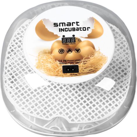 Incubateur automatique 12 œufs avec retourneur d'œufs intégré. Idéal pour l'incubation de petits œufs de poule, caille, canard et autres oiseaux. Vue à 360°. Prise australienne 220 V. (1/5)