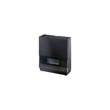 Olimpia Splendid SG 60 HE Industrial fanless heater