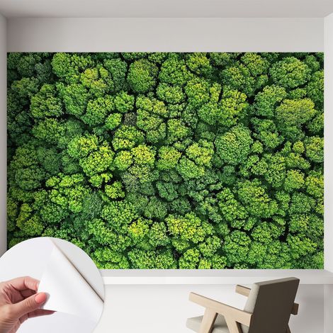 Papier peint autocollant adhésif avec imprimé motifs uniques apparence moderne Panorama forestier 152x104 cm (1/5)