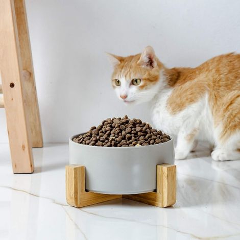 Gamelles pour Chat, Bol En CéRamique Pour Chat Et Chien, Bol En CéRamique AntidéRapant Pour Animaux De Compagnie avec support à bols en bambou et bois（gris）