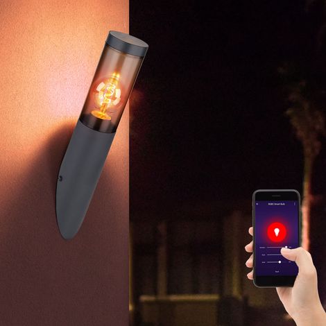 Außenwandlampe Wandleuchte Edelstahl Wandleuchte Fackel Aussen Gartenlampe, anthrazit rauch, App Steuerung CCT, Smart RGB LED 8,5W 806Lm, DxH 7,6x40 cm