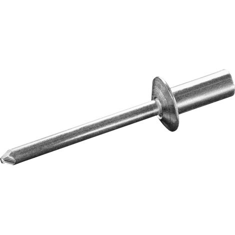 GOEBEL - 500 x Rivets étanches 4 x 12,5 mm - Aluminium Al 99,5/ Aluminum - Tête plate - CUP - 2160140120 - ISO15975 (1/5)