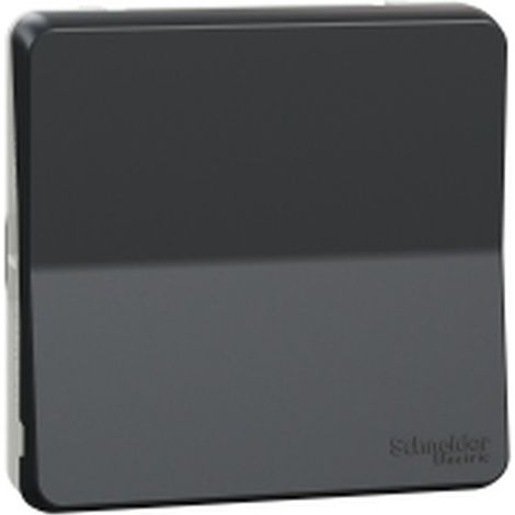 SCHNEIDER MUREVA STYL MUR35027 Pulsador con conexión automática IP55 IK08 Composable Gris antracita