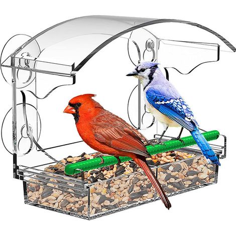 Mangeoire à oiseaux de fenêtre avec ventouses puissantes et plateau à graines amovible pour l'observation des oiseaux. (1/4)