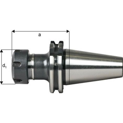 Portabrocas tipo ER DIN 69871, capacidad : 0,5-16,0 mm, ISO 50, ER25, a : 100 mm, d1 : 42 mm (1/4)