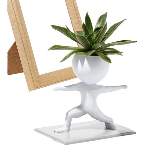 Blumenkasten zur Dekoration kreativer niedlicher dekorativer