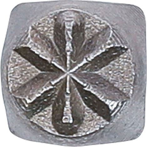 BGS Einschlagstern 6 mm - 2050