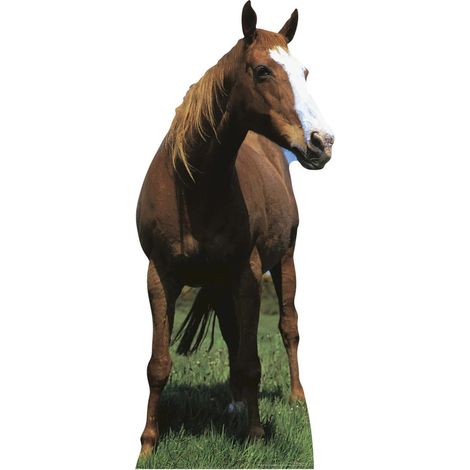 Figurine en carton Cheval Mustang H 190 cm (1/4)