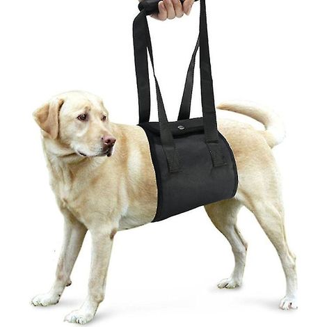 1 Stück Hunde-Hebegeschirr