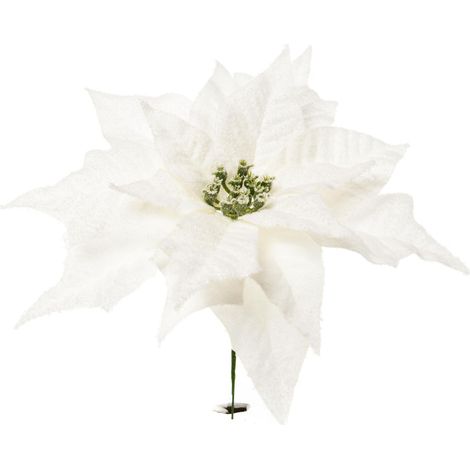 ARPIMEX Pick Natale Poinsettia Stella di Natale Innevata Bianca