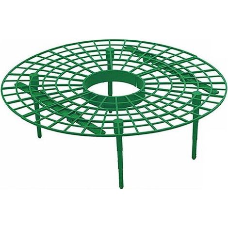 Support de culture pour fraises, grille pratique pour tuteurage de plantes grimpantes, présentoir à fraisiers (1/5)