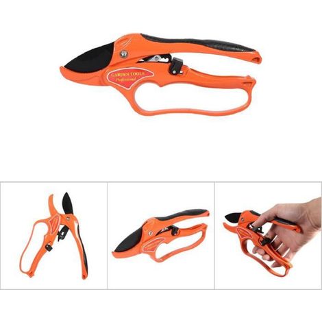 Outil de taille d'arbre fruitier, sécateur de bonsaï, ciseaux de jardin, sécateur de greffage, orange (1/5)
