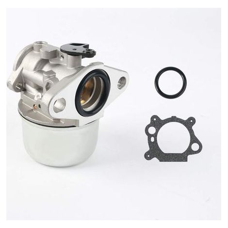 AIDUCHO Kit De Remplacement De Carburateur De Moteur Compatible Avec Brigg Et Stratton 497586 498170 799868 498254 497314 497347 698444 (1/5)