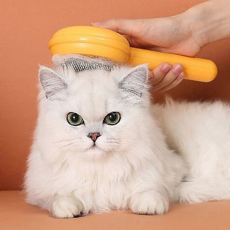 Peigne de toilettage pour animaux, brosse de massage, brosse pour chat, épilation des poils (1/4)