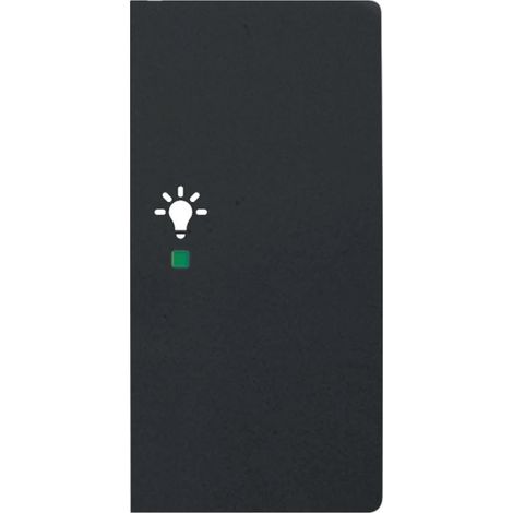 Bascule double avec symbole ’’lumière’’ à droit e noir mat