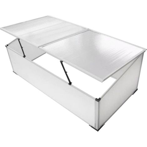 Maison Exclusive - Serre froide à 2 couvercles 110x55x41 cm (1/5)