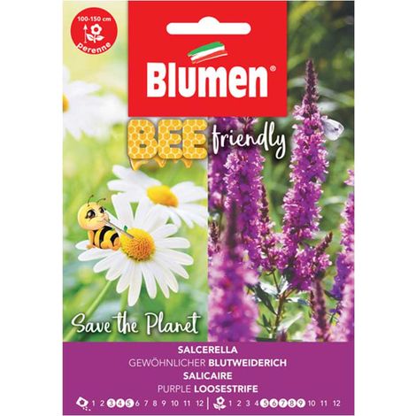 SEMI SALCERELLA BLUMEN