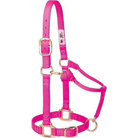1 Licol Cheval Nylon Largeur 2,5cm Matériel Laiton Réglable Équitation (1/2)