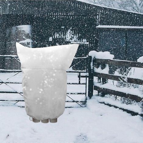 Sac de protection chaud pour arbres, arbustes et plantes, protection contre le gel, jardin, hiver (1/5)
