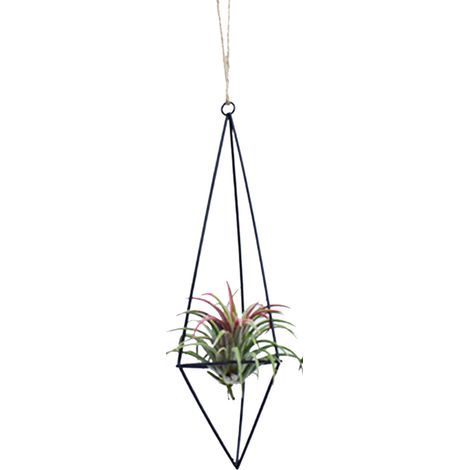 Cintre géométrique noir pour plantes à Air, support Tillandsia, présentoir moderne Unique avec corde pour décoration murale de la maison M (1/5)