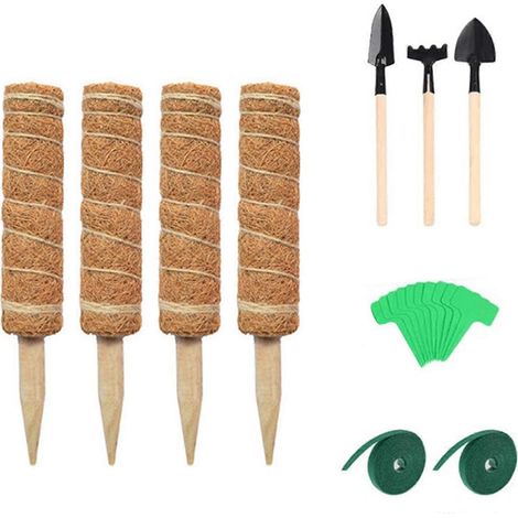 Support pour plantes grimpantes en pot, pot de jardinage, kit d'outils, tige de support - 30 cm