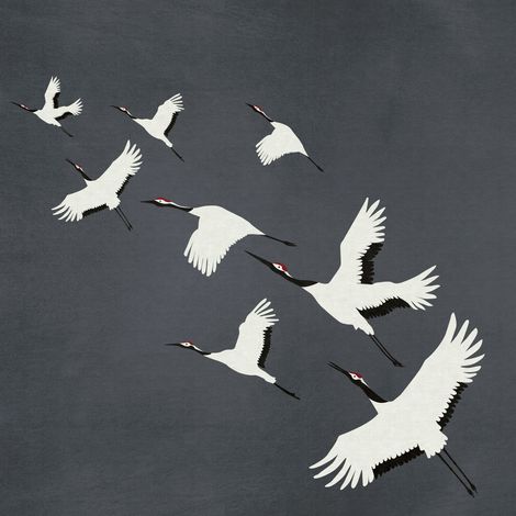 papier peint panoramique oiseaux de grue gris foncé - Origin Wallcoverings (1/5)