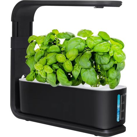 Système de culture hydroponique, jardin d'herbes aromatiques à hauteur réglable avec LED, système de culture d'intérieur, kit de germination pour jardin d'intérieur (3 trous)-AquaForge