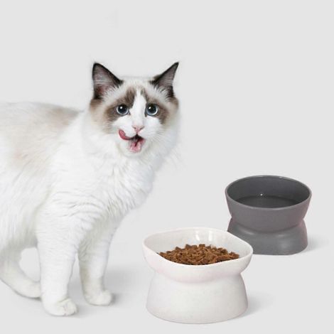 10 gamelles inclinées en plastique pour chats - Gamelle inclinée anti-déversement - Nourriture plus facile d'accès (1/4)