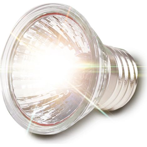 Lampe solaire de 50 W pour que les tortues se réchauffent le dos (1/5)