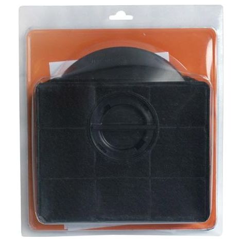 Filtre Charbon Ak207ae1 74X0709 Pour HOTTE (1/3)