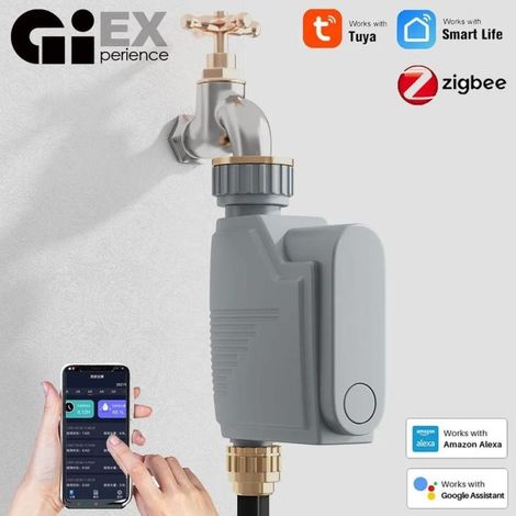 Temporizador de riego fabricado en plástico ABS. (1/5)