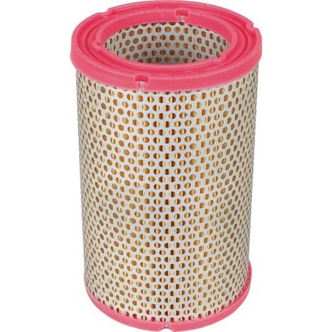 Filtre à air MANN-FILTER C1134 (1/2)