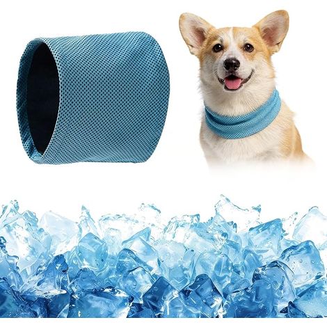 Collier rafraîchissant pour chien, bandana rafraîchissant, respirant, dissipation de la chaleur, animal de compagnie (bleu-M) (1/3)
